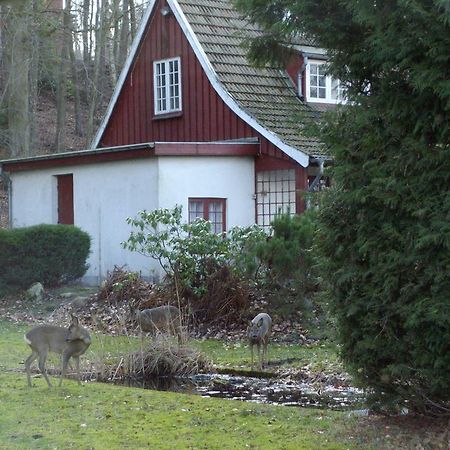 Skovvej Holiday House 1 Villa Randers Exteriör bild