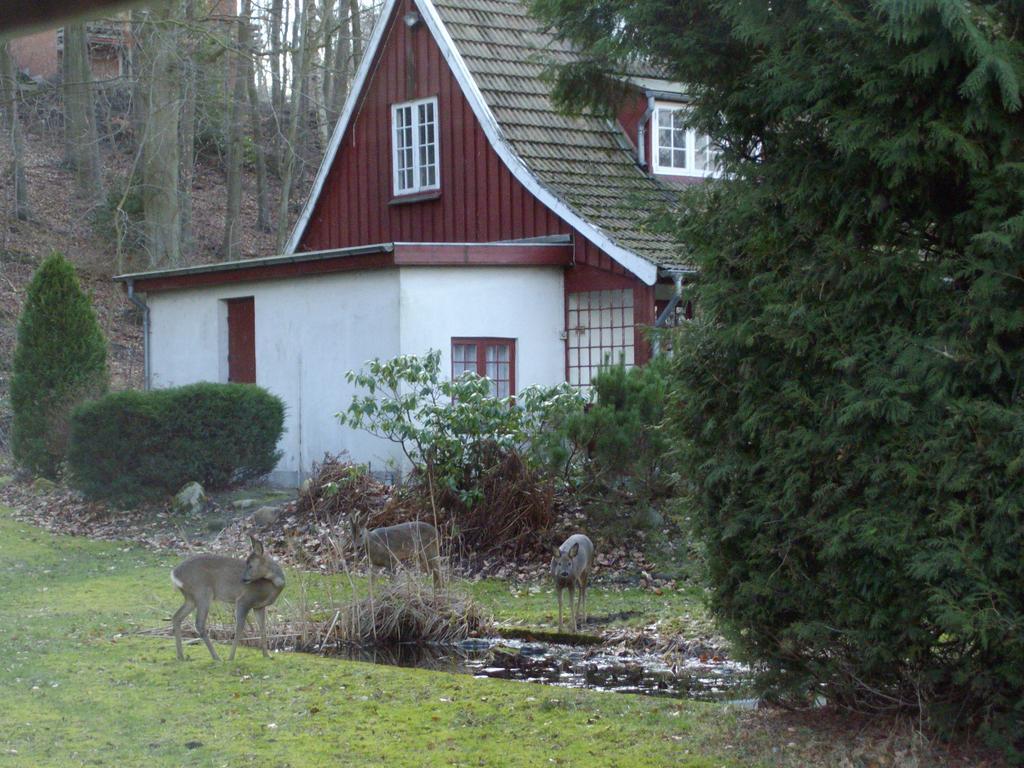 Skovvej Holiday House 1 Villa Randers Exteriör bild